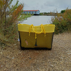 jaune