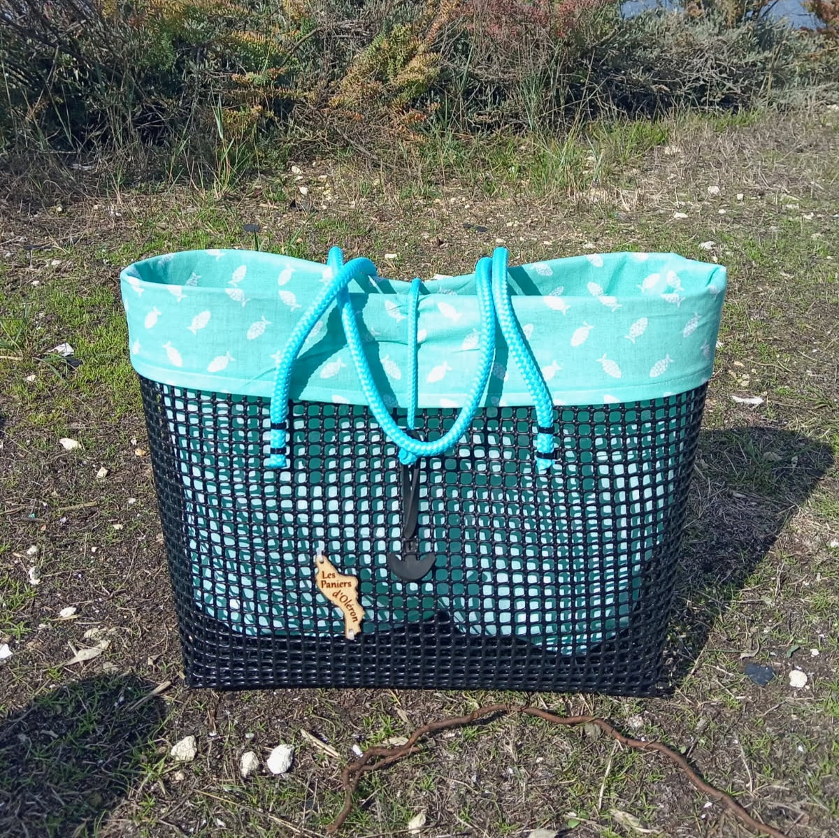 Poissons turquoise