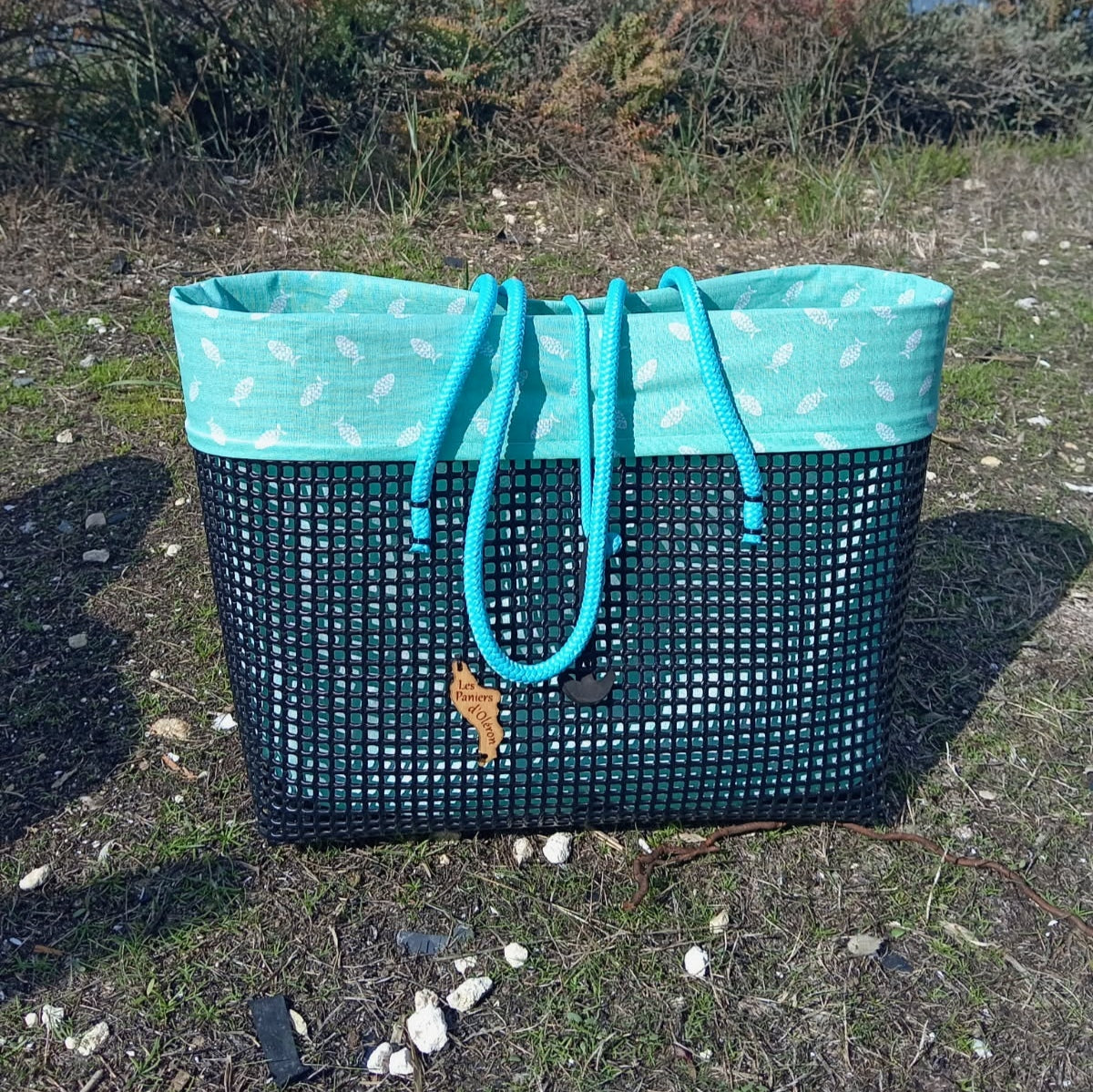 Poissons turquoise