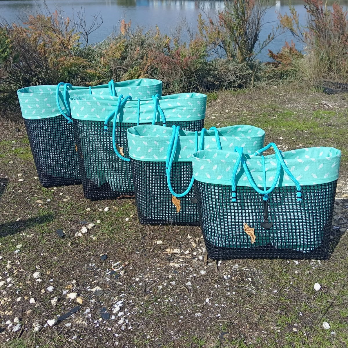 Poissons turquoise