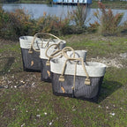 Poissons beiges